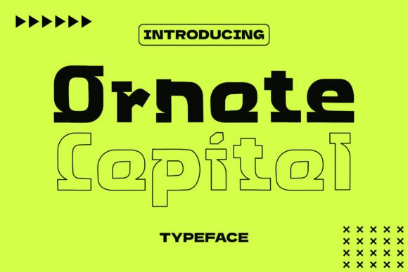 Ornate Capital: Elevating Modern Design Projects