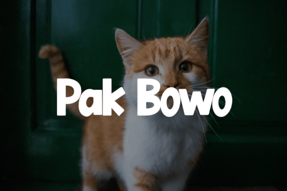 Pak Bowo: The Versatile Font for Modern Designers